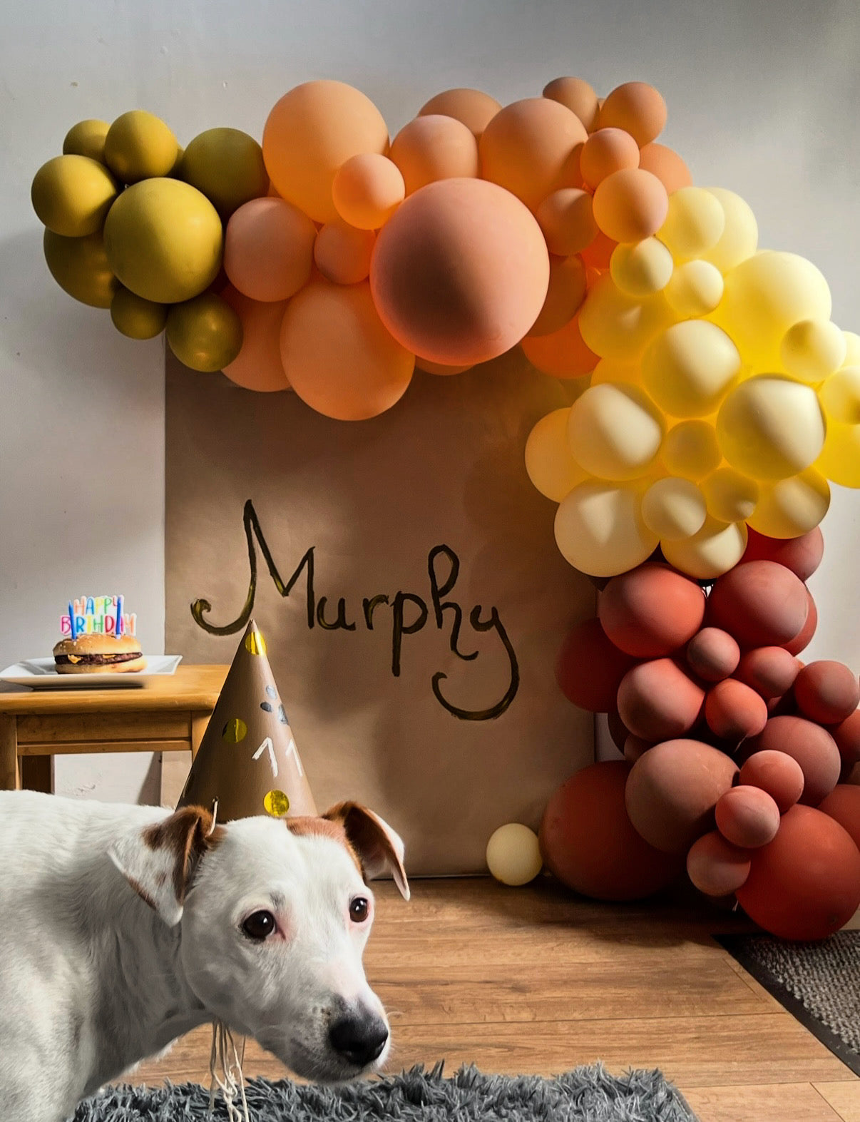 Balloon garland