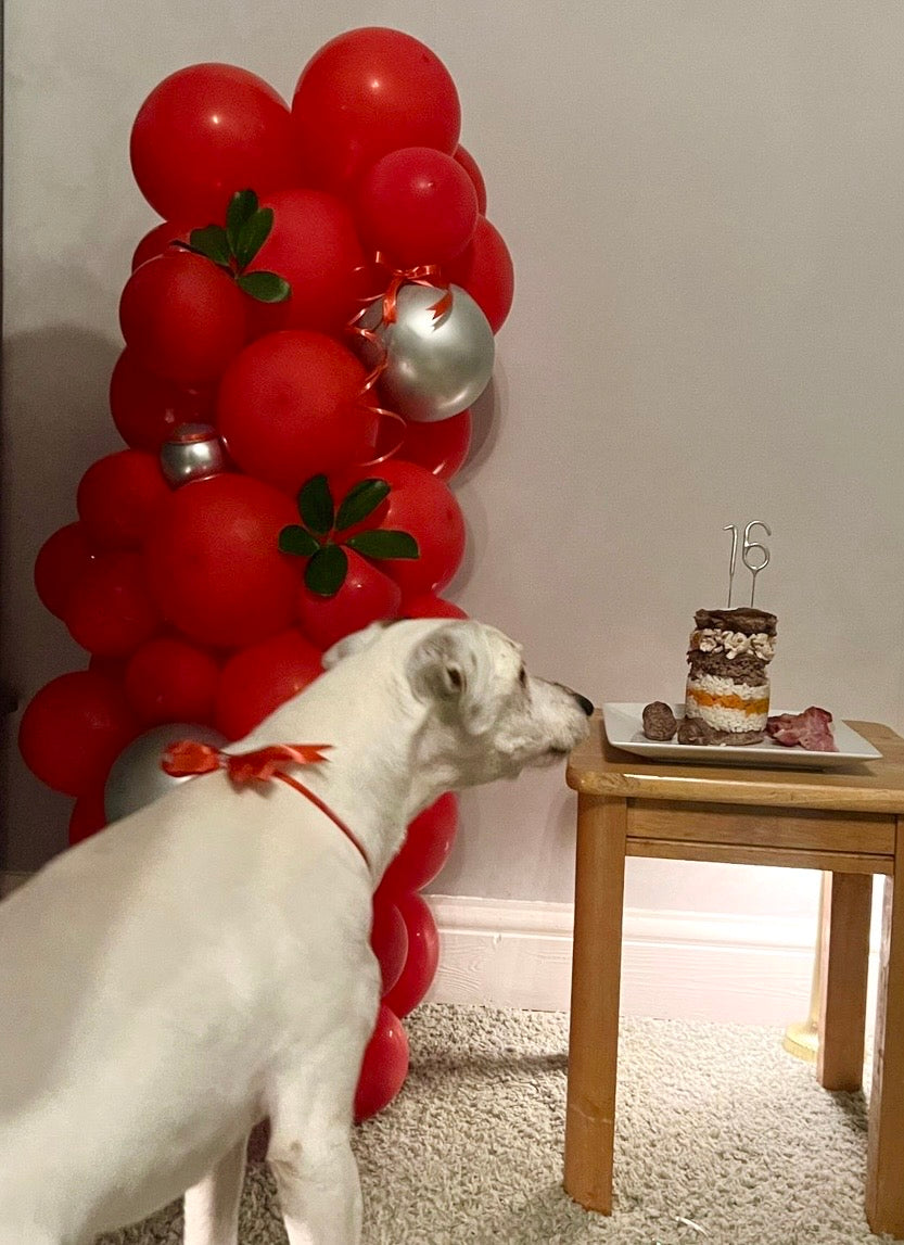 Balloon garland