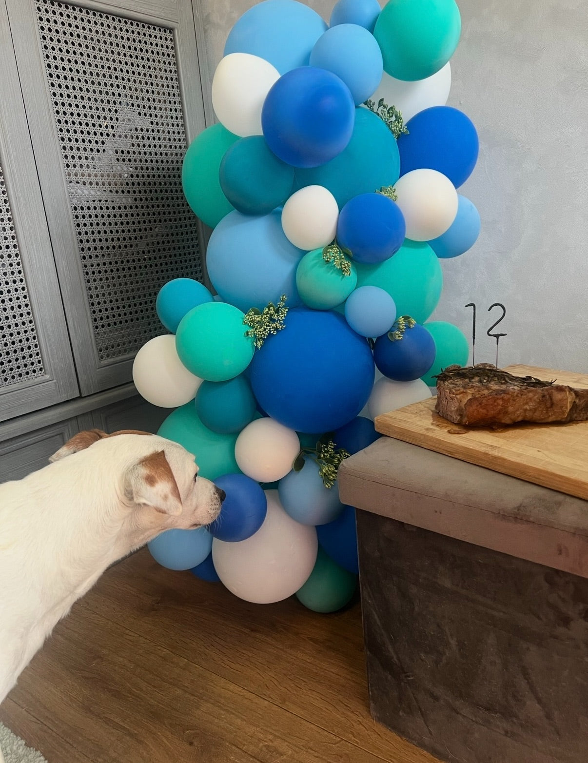 Balloon garland