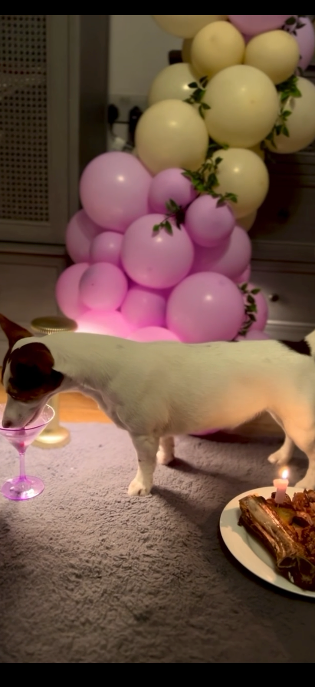 Balloon garland